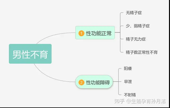广州助孕中心哪家医院好（男性不育分为哪几种）