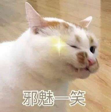 一直回复你「嗯嗯」的女生怎么追啊 ?
