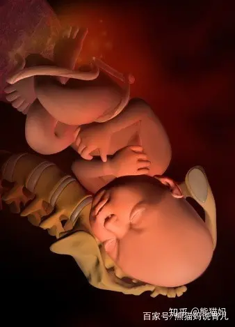 怀孕42周胎儿发育过程分享,让孕妈更了解我们的天使宝宝!