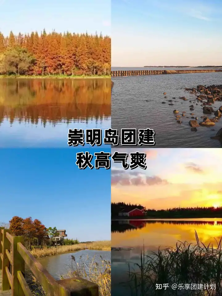 上海团建秋意渐浓崇明岛1日游玩攻略分享