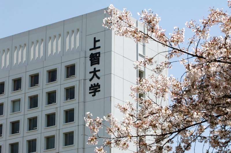 日本修士直考 法学研究科之上智大学 知乎