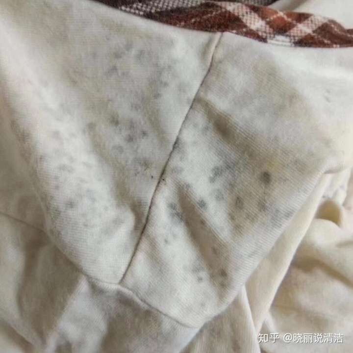 衣服发霉怎么洗掉上面的霉斑?