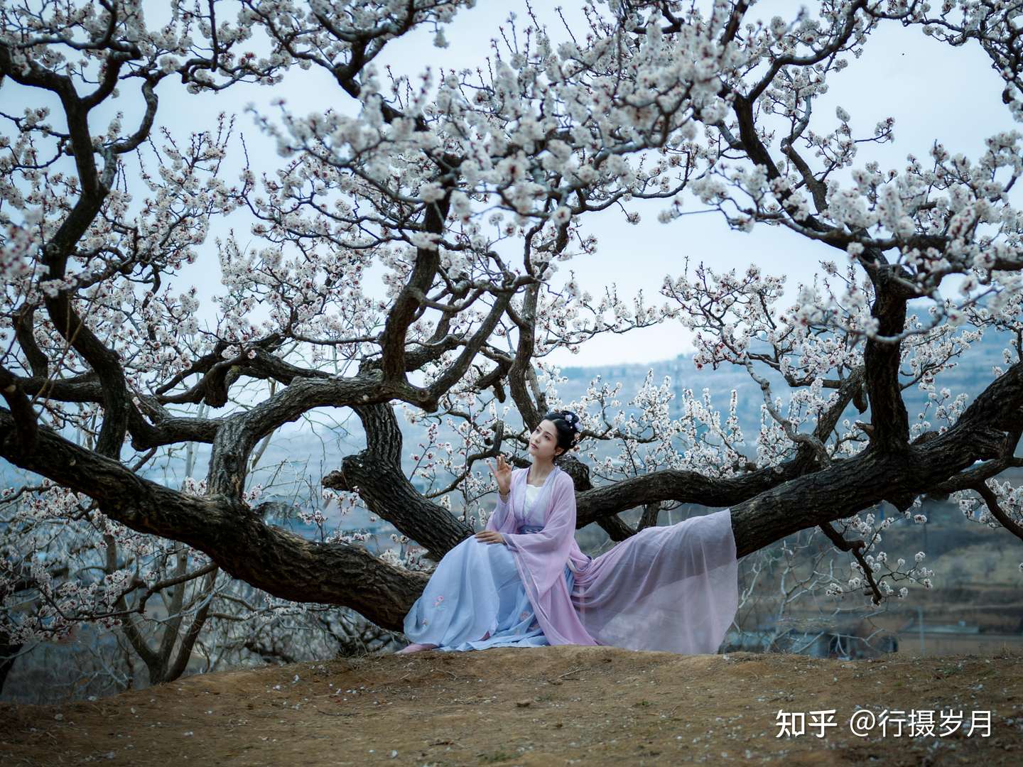 凝眸回首 一路祝福 知乎