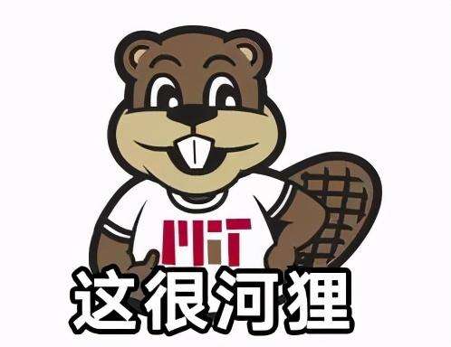 麻省理工你不对劲