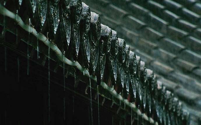 雨檐用心曬太陽果二