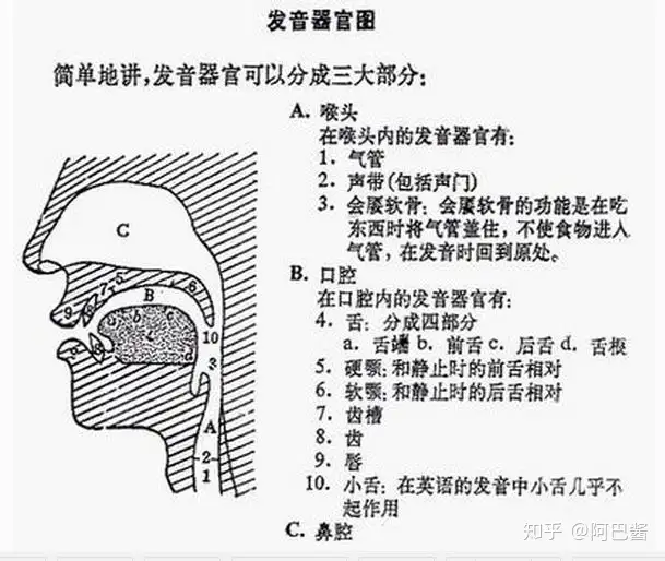 看着英语不知如何发音怎么办 英语拼读规则在这里 知乎