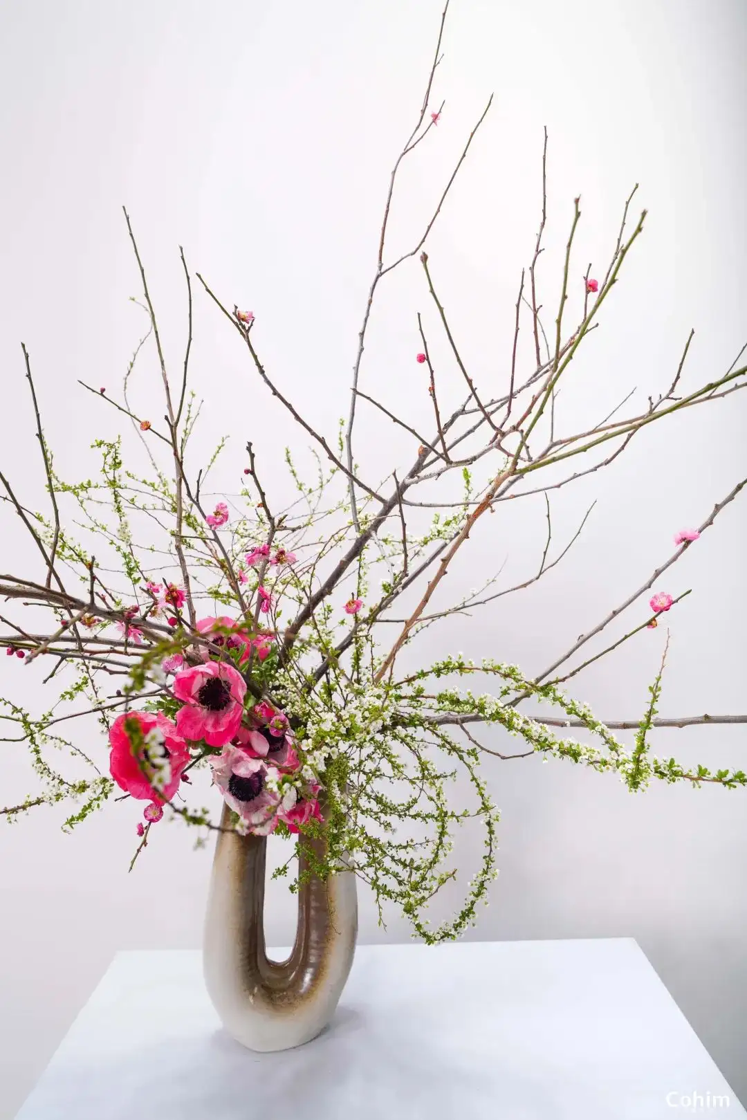 草月 内卷不emo 这张花道证书是条出路 知乎