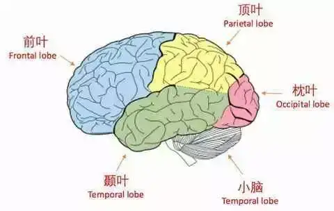 30岁了还没有职业方向和人生规划该怎么办