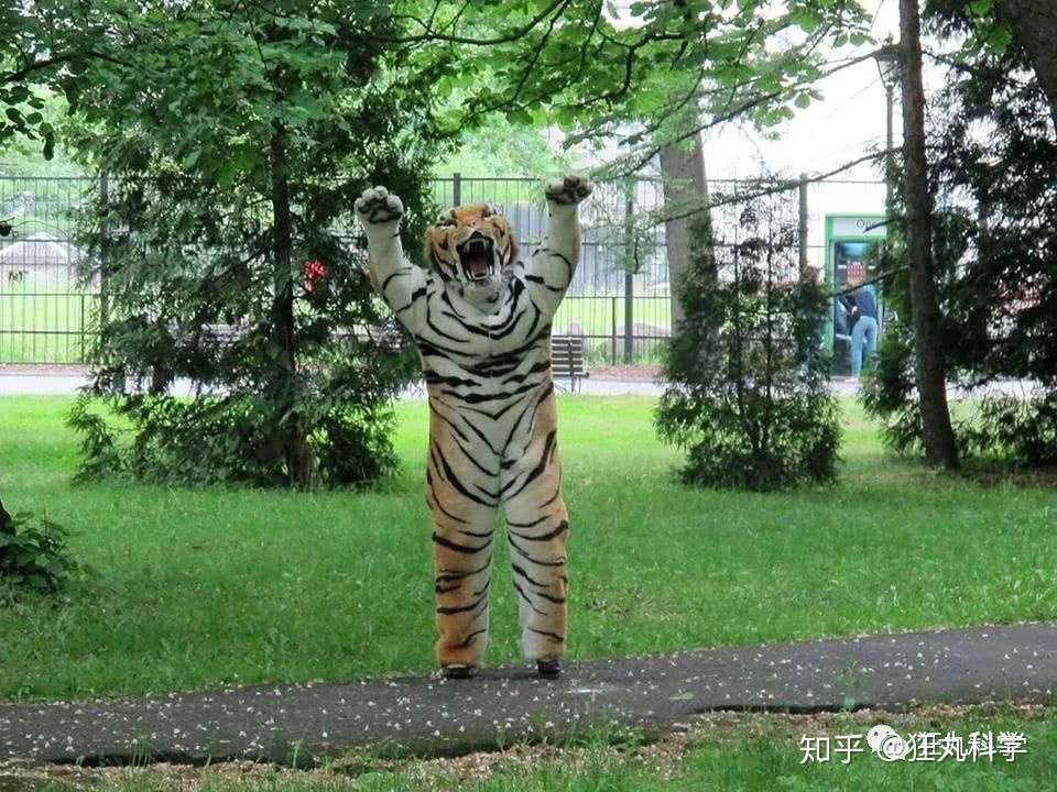 动物园惊现猛兽扑街 中国日本俄罗斯画风差异巨大 知乎