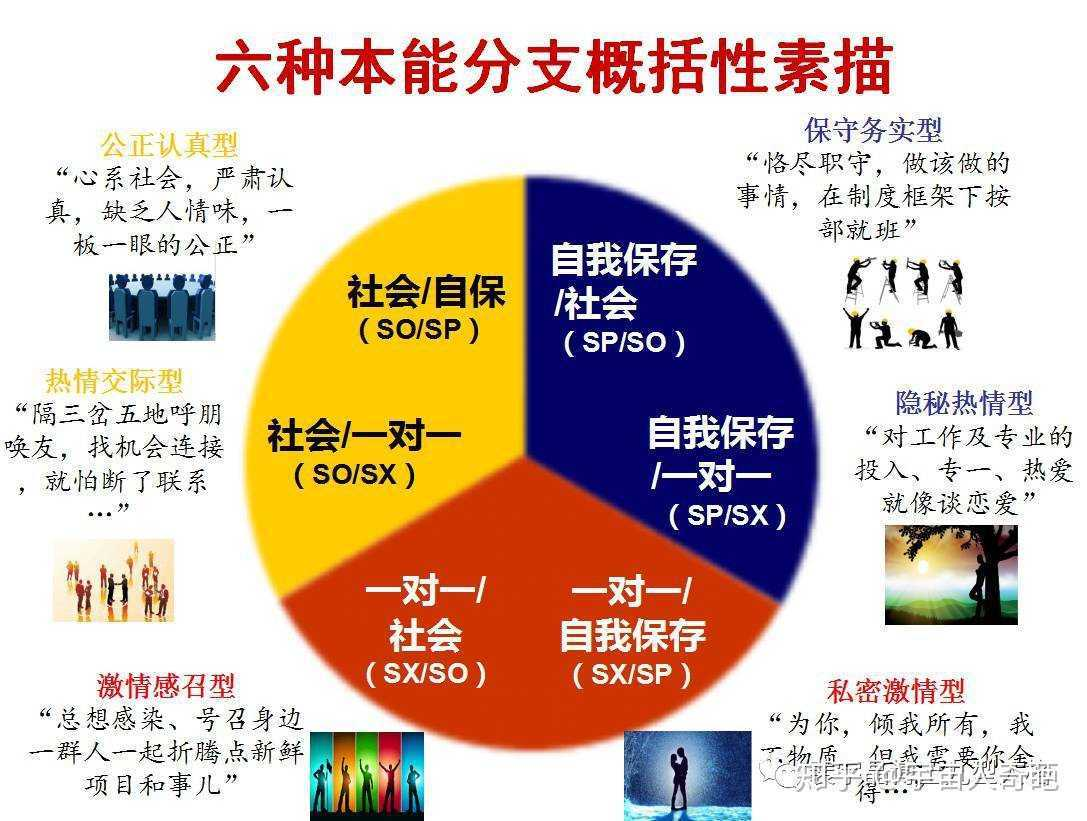 九型人格本能副型堆叠全翻译介绍 知乎