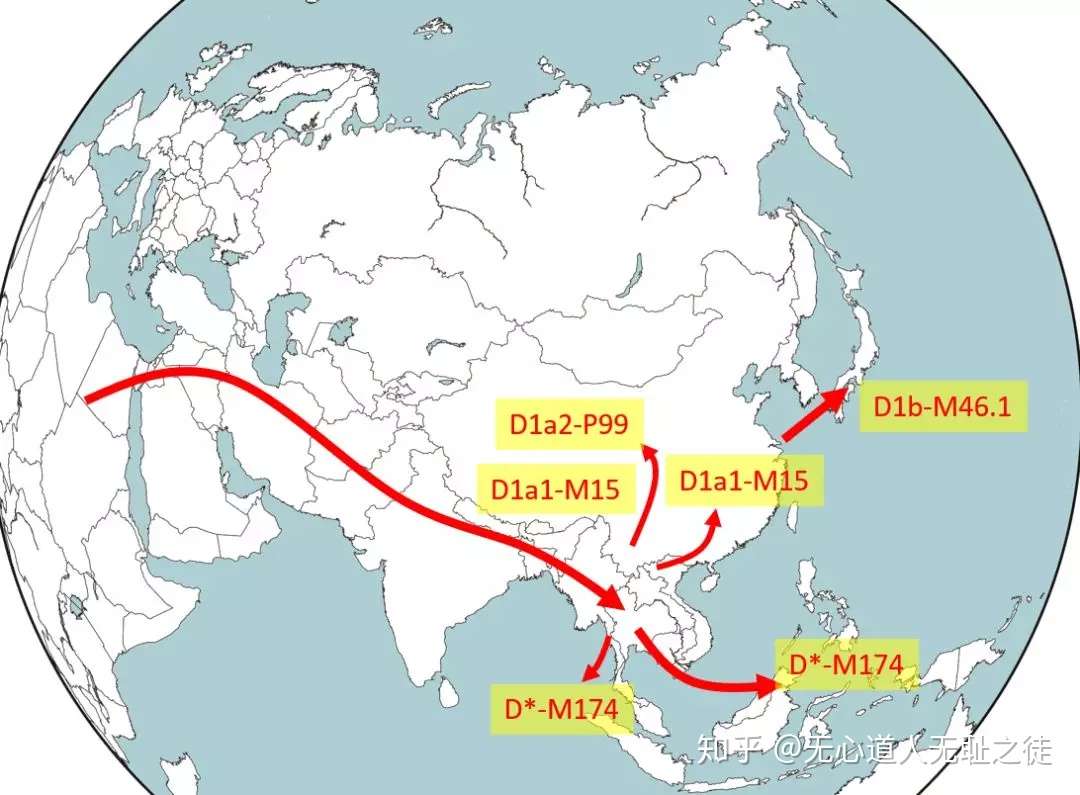 现代东亚人的起源之旅与父系单倍群 知乎