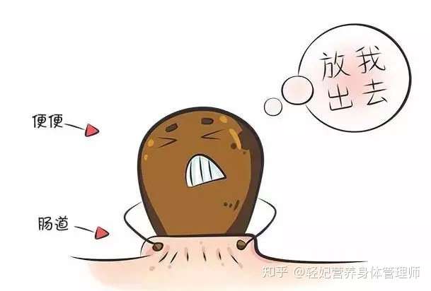 轻妃推荐丨有关便秘的自我疗法 便秘小贴士 知乎