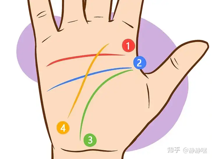 手相 解读感情线 知乎