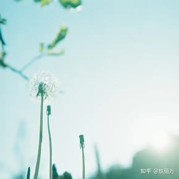 句句暖心早安心语（早安暖心话配图片）