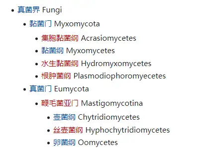 系统采用了五界系统学说,将卵菌划分在真菌界真菌门鞭毛菌亚门卵菌纲