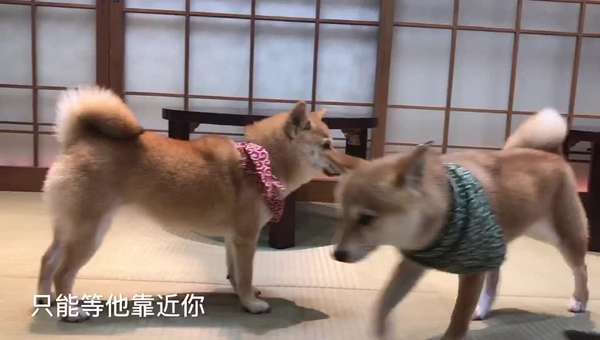 旅游视频攻略