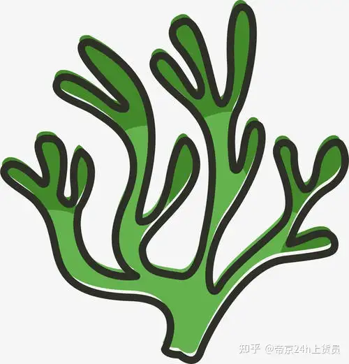 收藏 日语中关于植物的惯用语 知乎