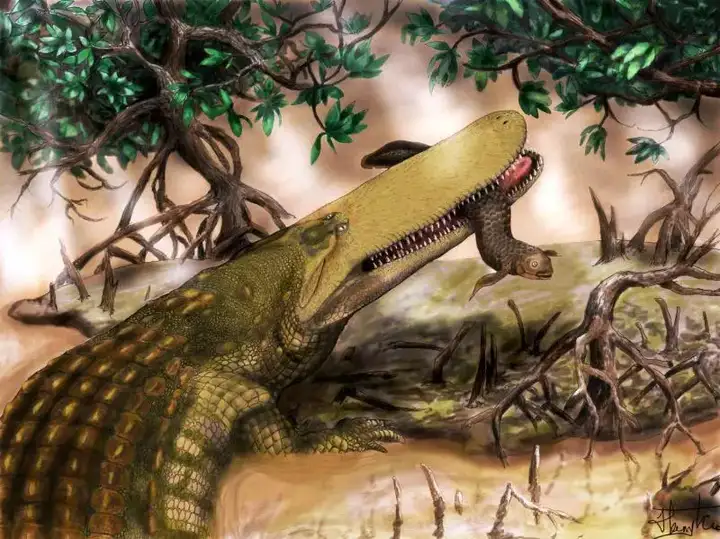 鳄鱼的起源与演化(图7)