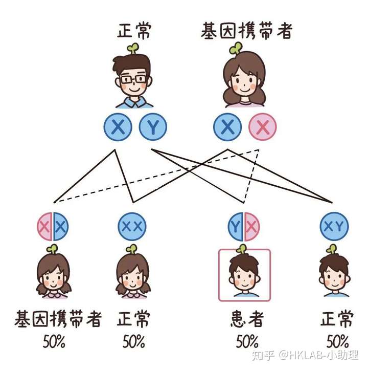 母血脆性X综合症筛查(MFX),传男不传女?