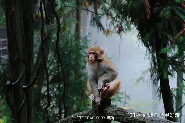 湖南10天9晚旅游攻略：长沙一凤凰一张家界