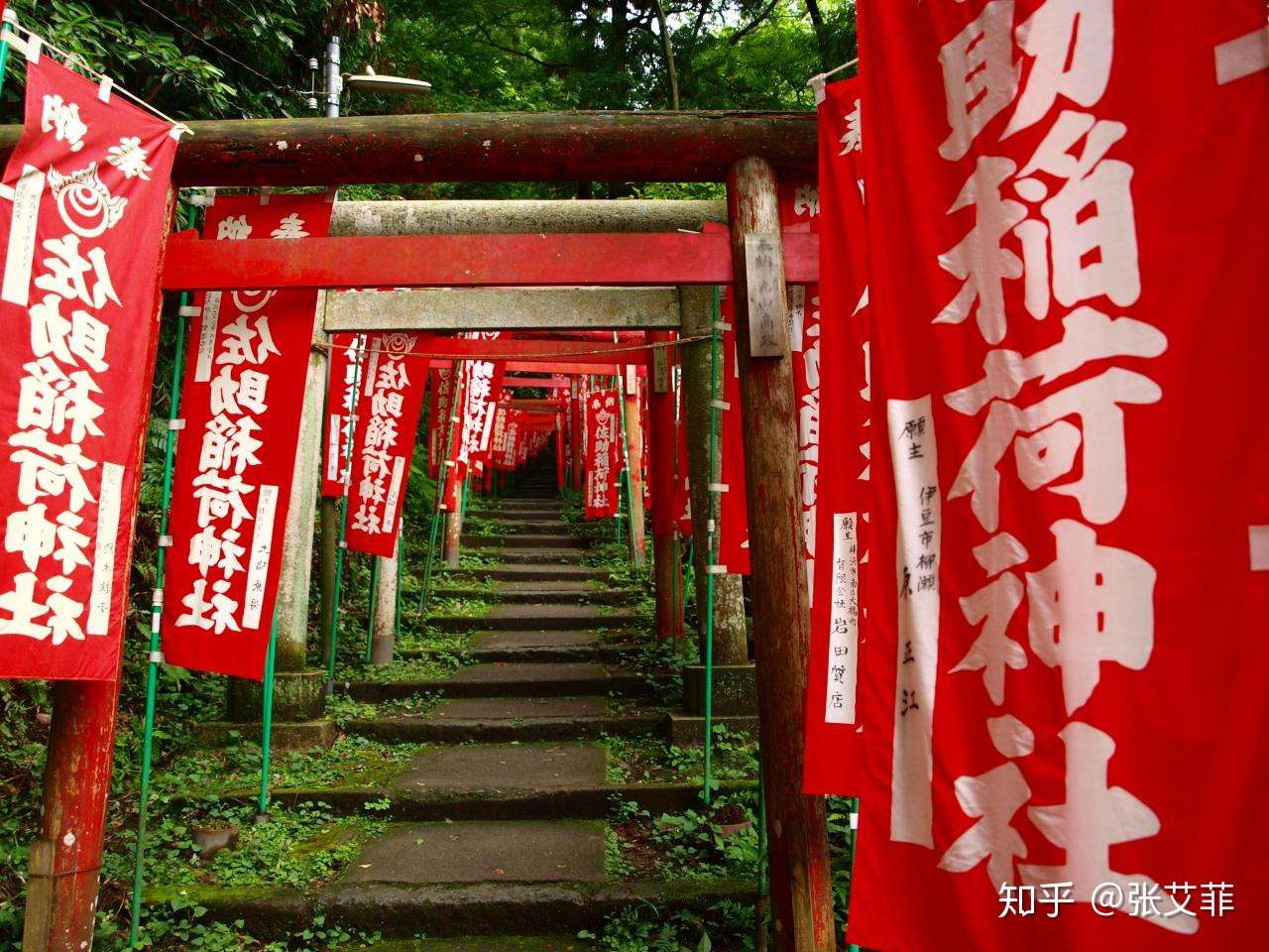 拨云见日本 风中旗帜 知乎