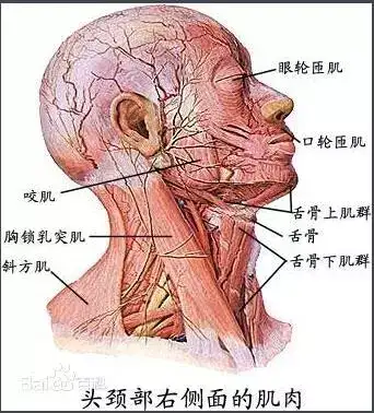 练习碾压式转圈 身体平衡对称很重要 知乎