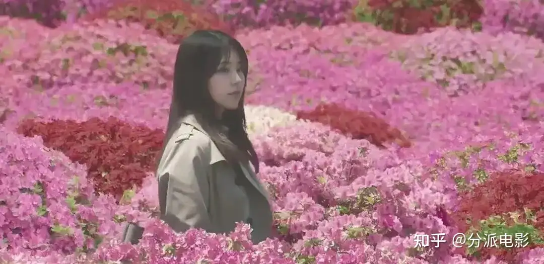 《花便当》转世重生！有村架纯新片太好哭了