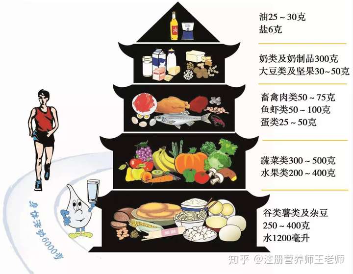 膳食宝塔建议的食物量