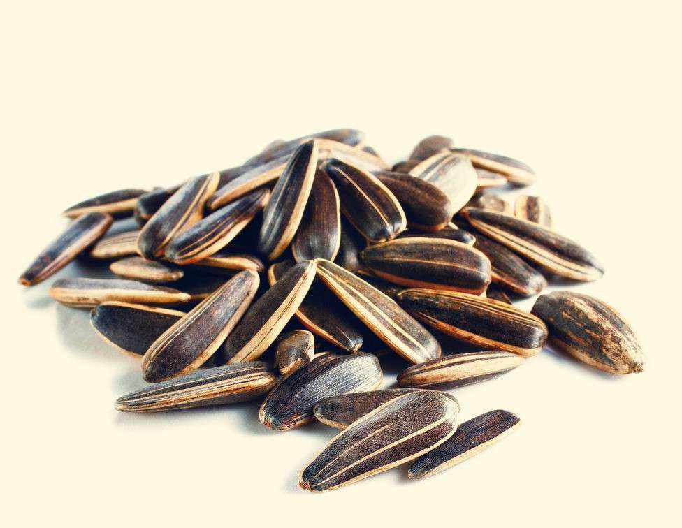 小长假来了 不想出去人挤人 那咱们在家嗑瓜子吧 知乎