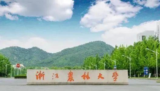 【性价比高】浙江农林大学2022年承认美术统考成绩，附往年录取线插图