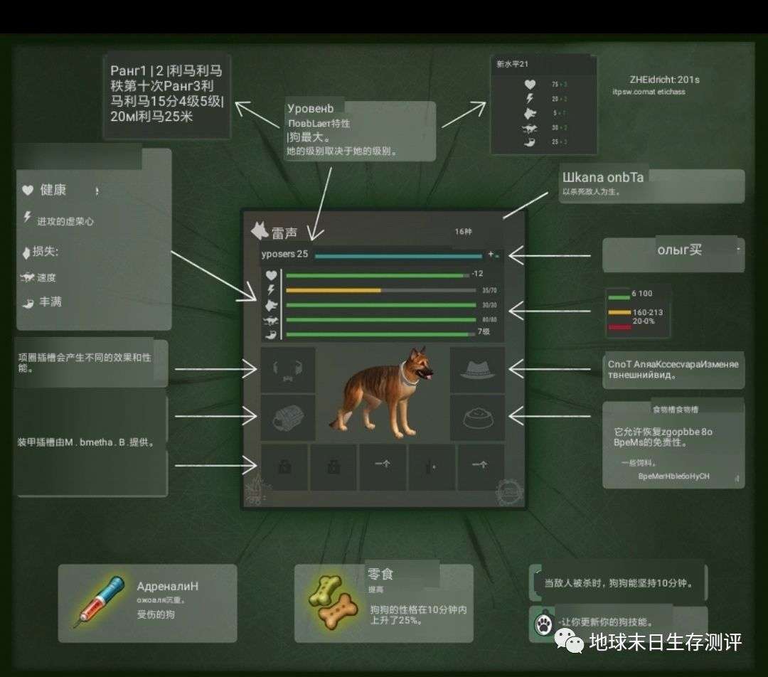 关于狗狗升级的消息 知乎