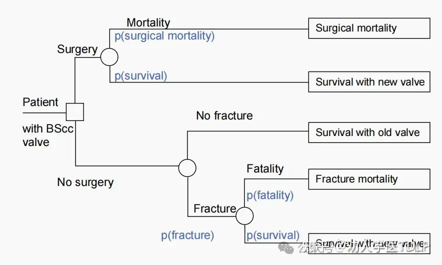 有风险心脏瓣膜置换的短期与长期风险的手术决策示意图。正方形表示一个决策，圆圈代表一个机会节点。需要对四种概率进行预测：手术死亡率、长期生存率、瓣膜破裂和瓣膜断裂死亡率。