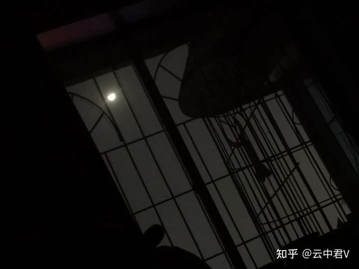 月光正好洒在我的枕头上,我就枕着头躺在床上看着窗外的月亮.