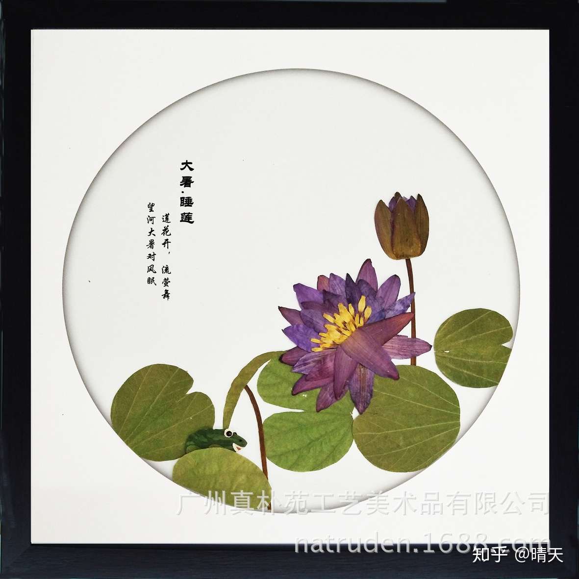 万物有灵 与植物相伴 知乎