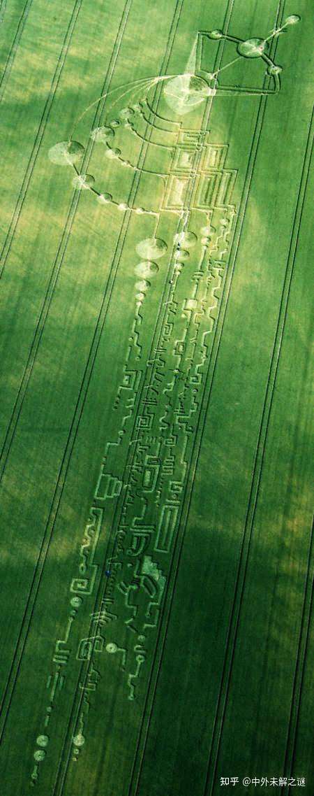 揭秘麦田怪圈究竟是人为制造 还是外星人在地球上留下的记号 知乎