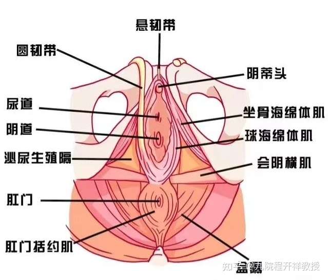 九院程开祥教授 的想法 女性朋友在什么情况下需要做小阴唇整形呢