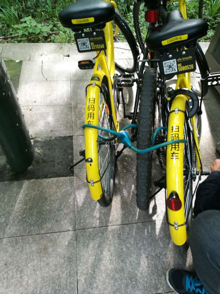 如何惩罚共享单车破坏行为,我们普通人能做什么?