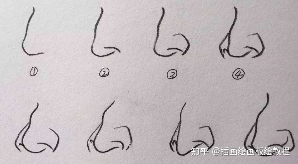 绘画教程 动漫鼻子怎么画 新手向各种角度的鼻子画法教程 知乎