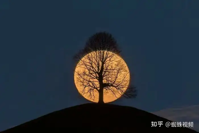 骂人的最高境界的句子 高情商的骂人狠毒的话