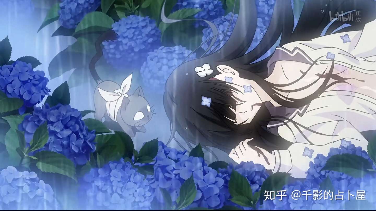 二次元 梅雨季的一道靓丽风景线 紫阳花 知乎