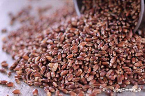 黑小麦黑燕麦有什么区别都是黑麦吗减肥期间适宜吃哪种黑小麦做成麦片