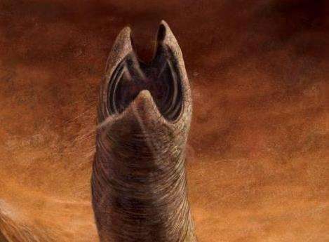 既然《沙丘》中沙虫会被规律的节奏吸引,为什么不能在沙漠中溜沙虫玩?