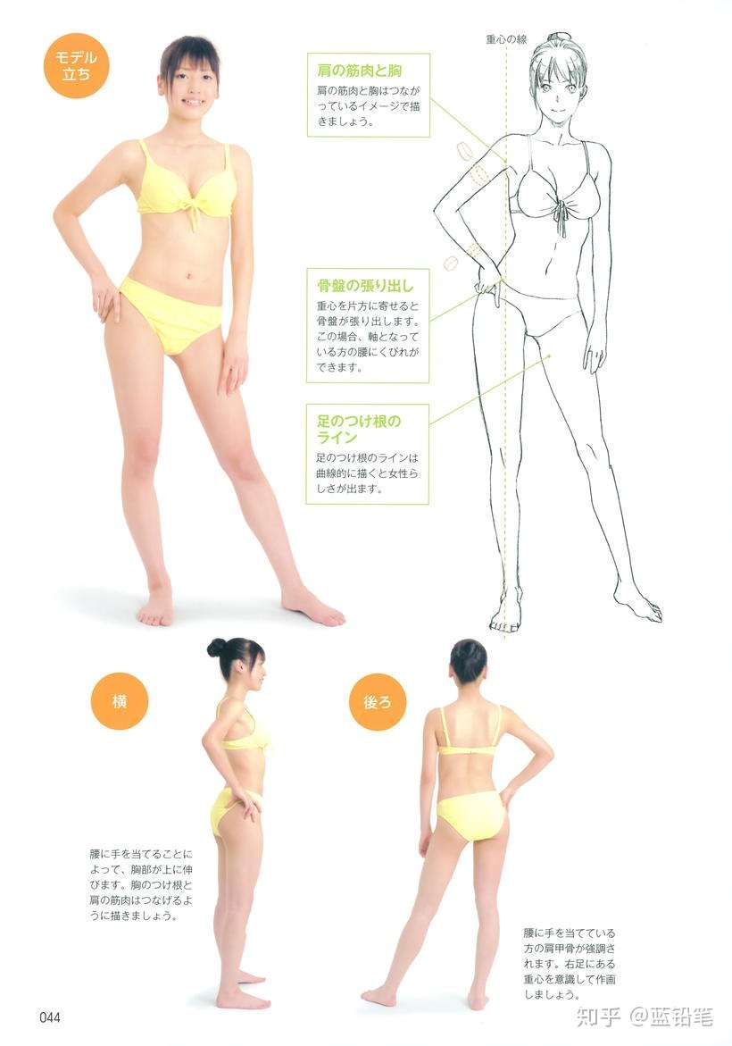 看完这篇 还怕不会画人体吗 超全面的人体姿势画法一览 附100 高清大图下载 知乎