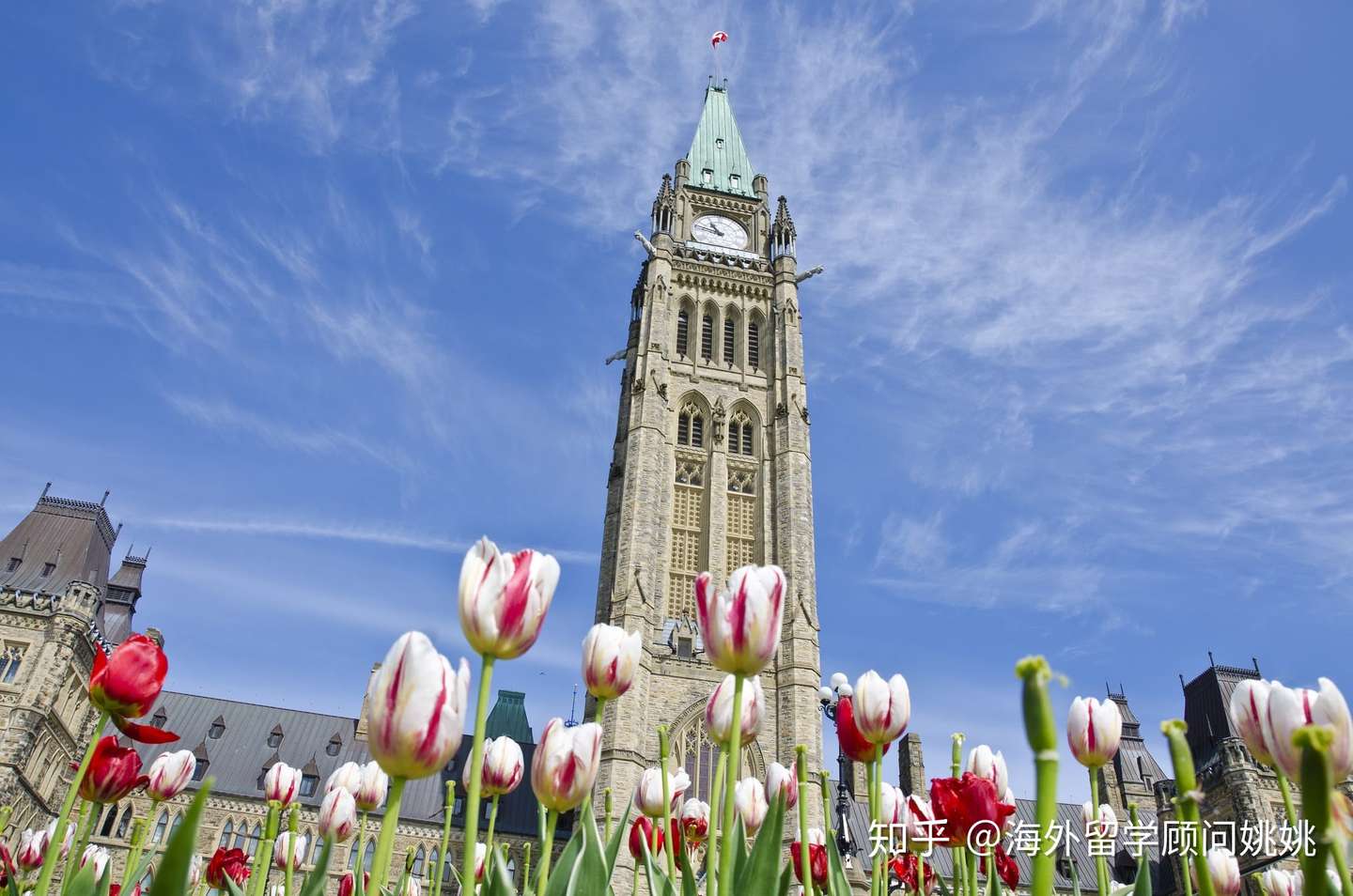 从小就出国留学好还是不好 知乎