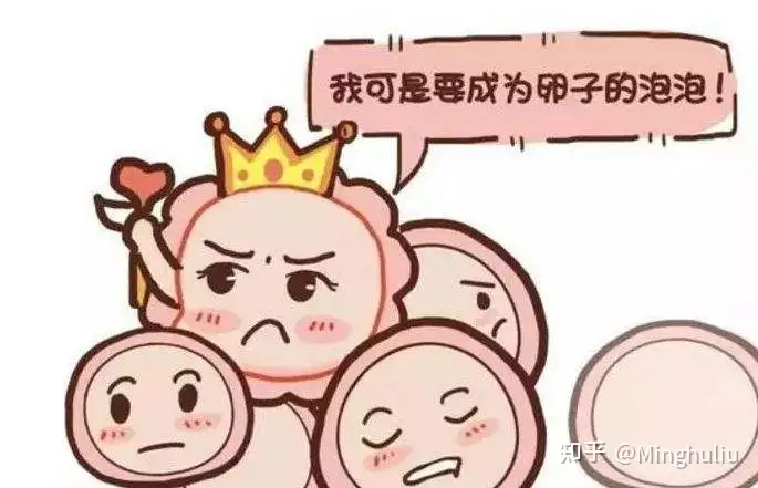 广州助孕机构（不孕不育立即上试管？三种助孕技巧你必须知道）
