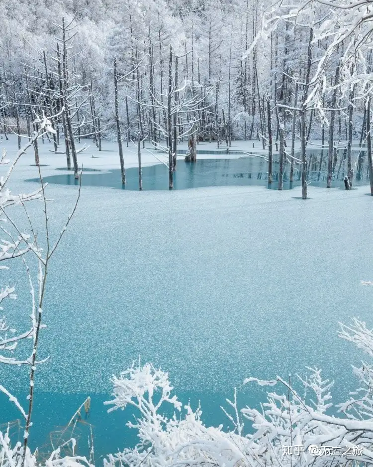 北海道最美小众秘境 摄影师美照刷爆朋友圈 知乎