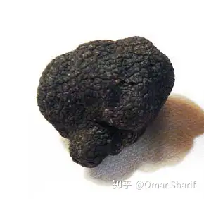 餐桌上的鑽石松露thediamondoftabletruffles之六