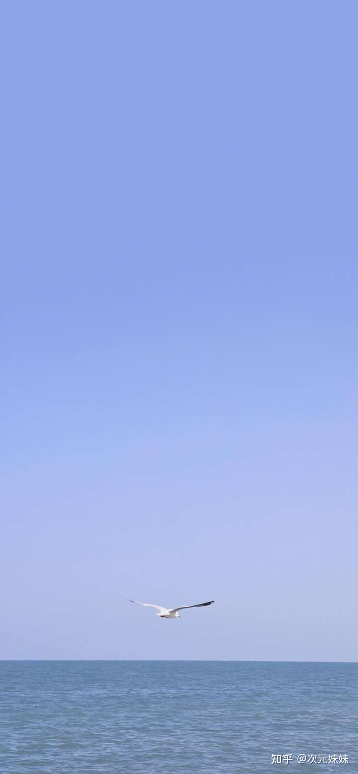 你最喜欢的手机壁纸什么样?