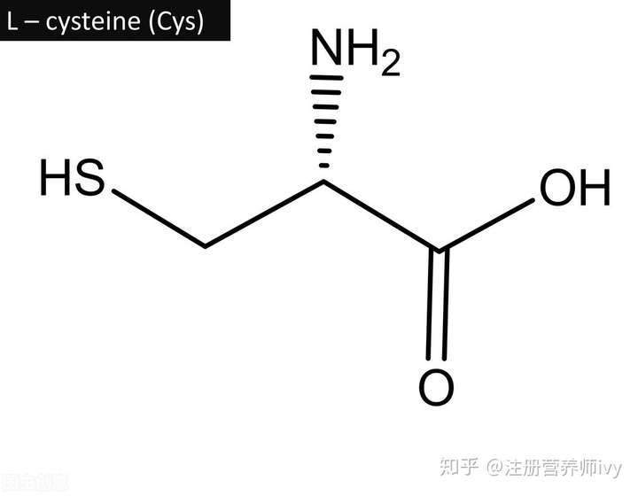 同型半胱氨酸是检测桥本患者体内炎症的重要指标太高该怎么办