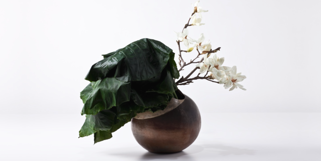 花的力量 重启 草月终于来了 知乎